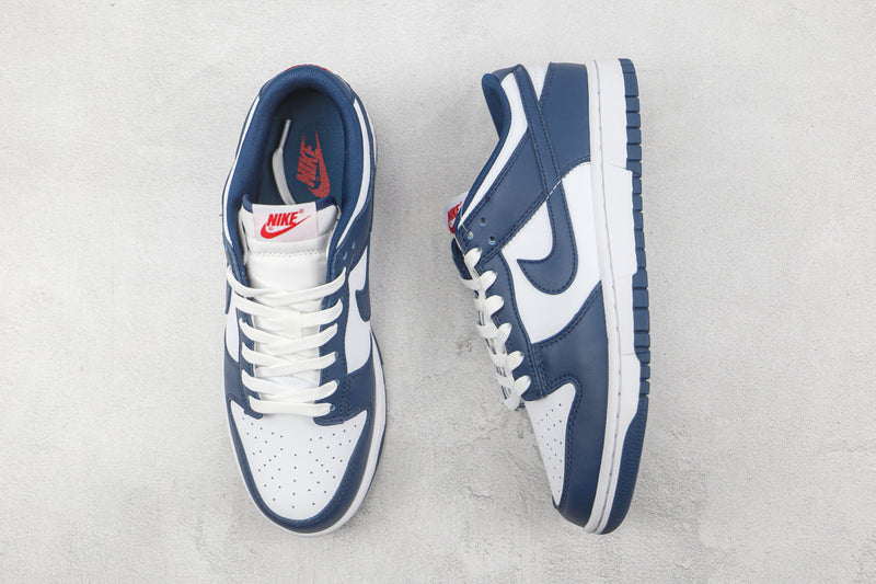 DUNK LOW x VALERIAM BLUE [MASCULINO/FEMININO]