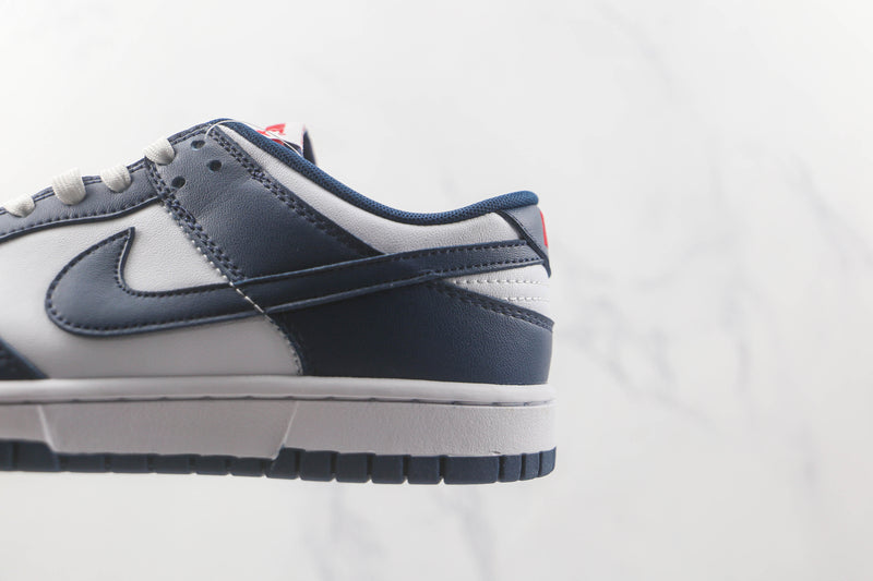 DUNK LOW x VALERIAM BLUE [MASCULINO/FEMININO]