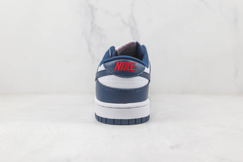 DUNK LOW x VALERIAM BLUE [MASCULINO/FEMININO]